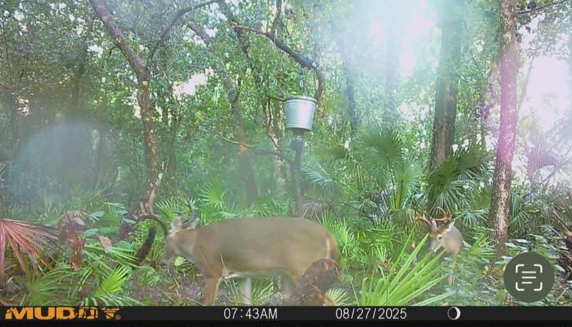 Image 85 of 86 For Gillette Road