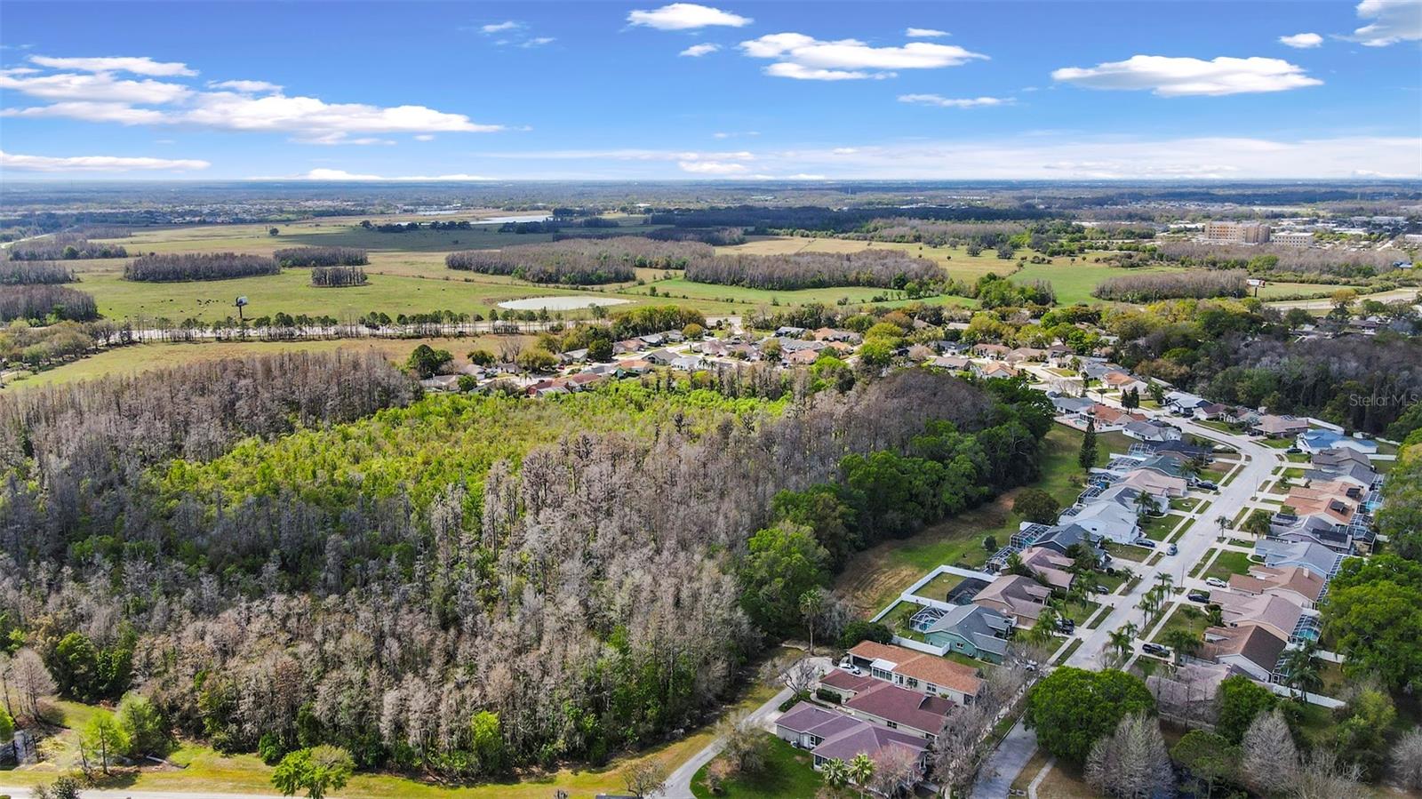 Image 36 of 40 For 3141 Town Avenue