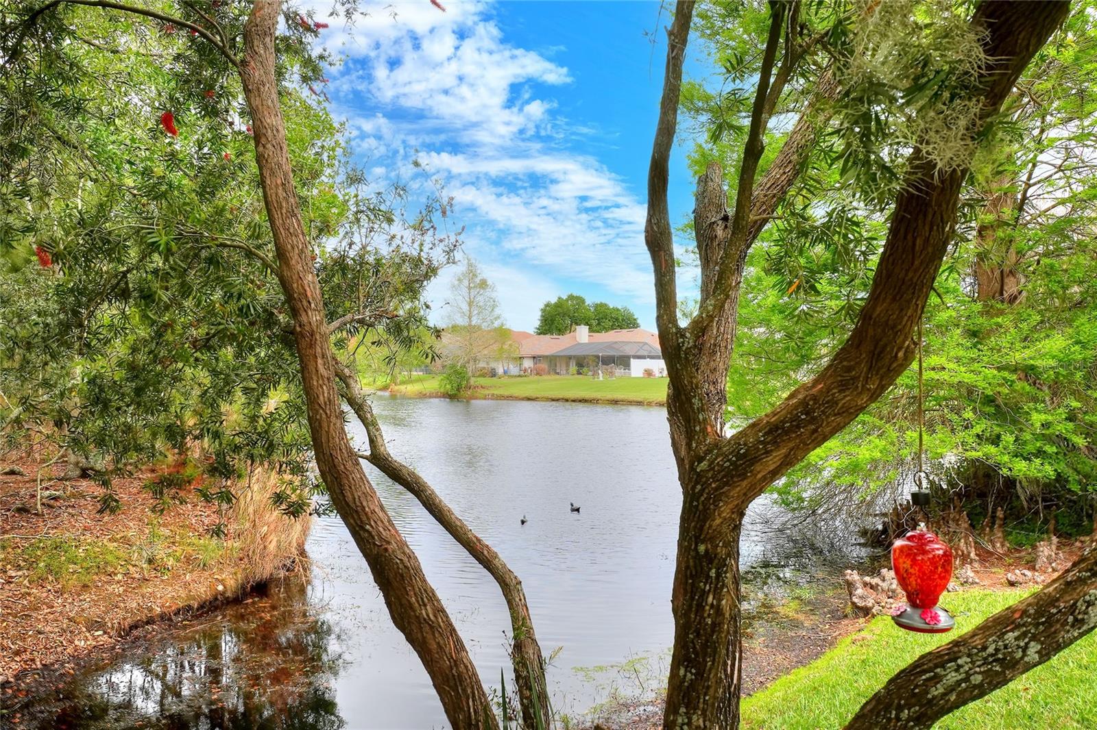 Image 63 of 75 For 2968 Plantation Road