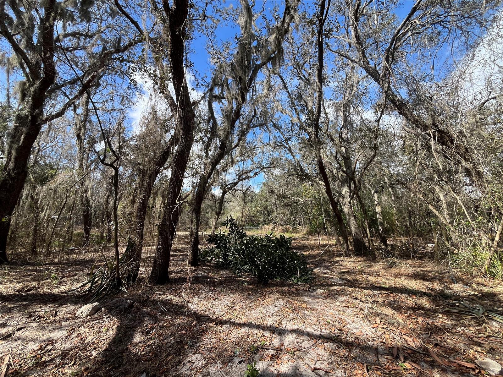 Image 10 of 22 For 2540 Tiger Creek Trail