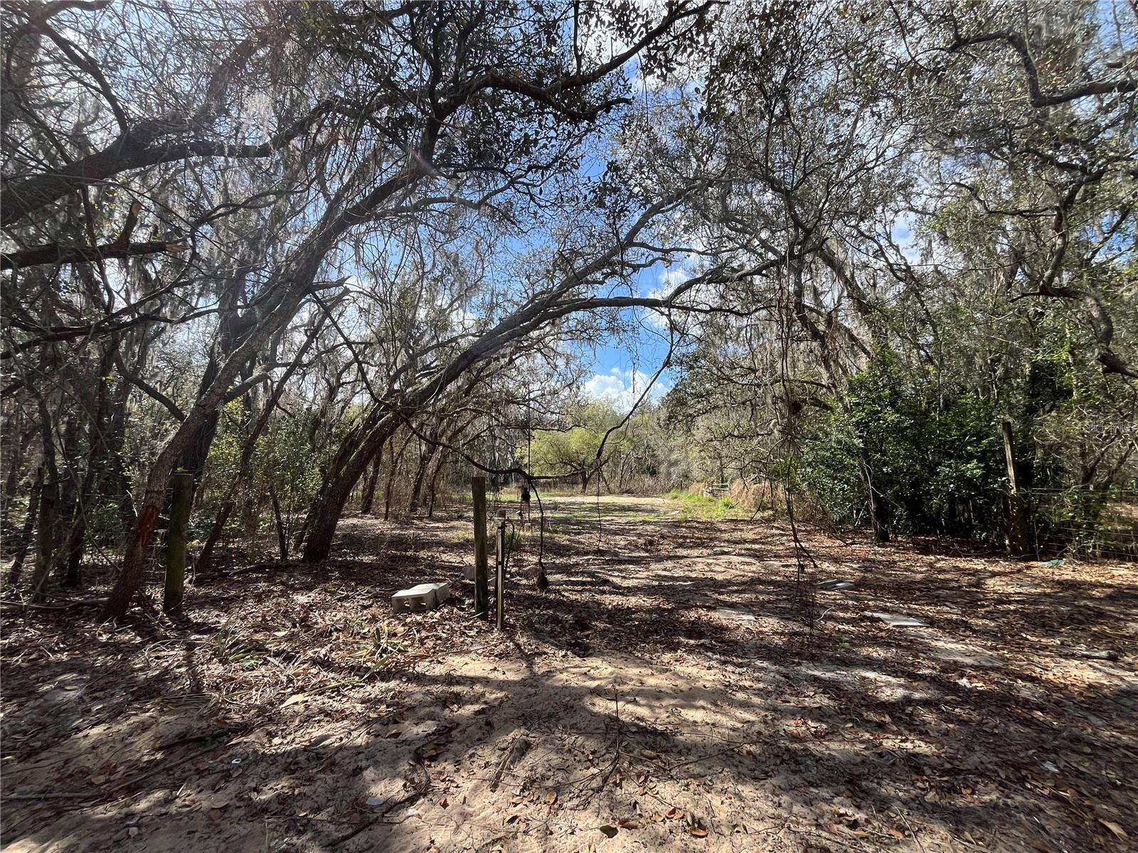 Image 12 of 22 For 2540 Tiger Creek Trail