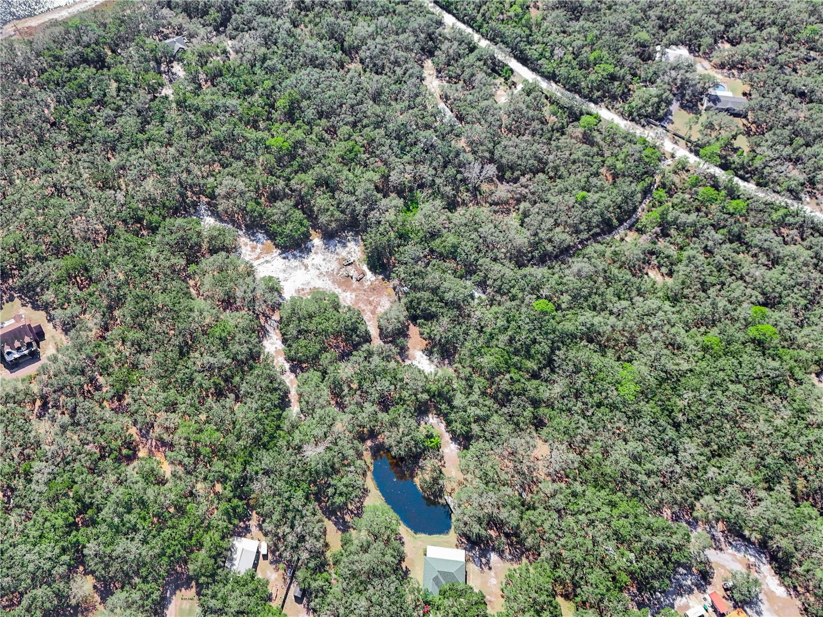 Image 15 of 22 For 2540 Tiger Creek Trail