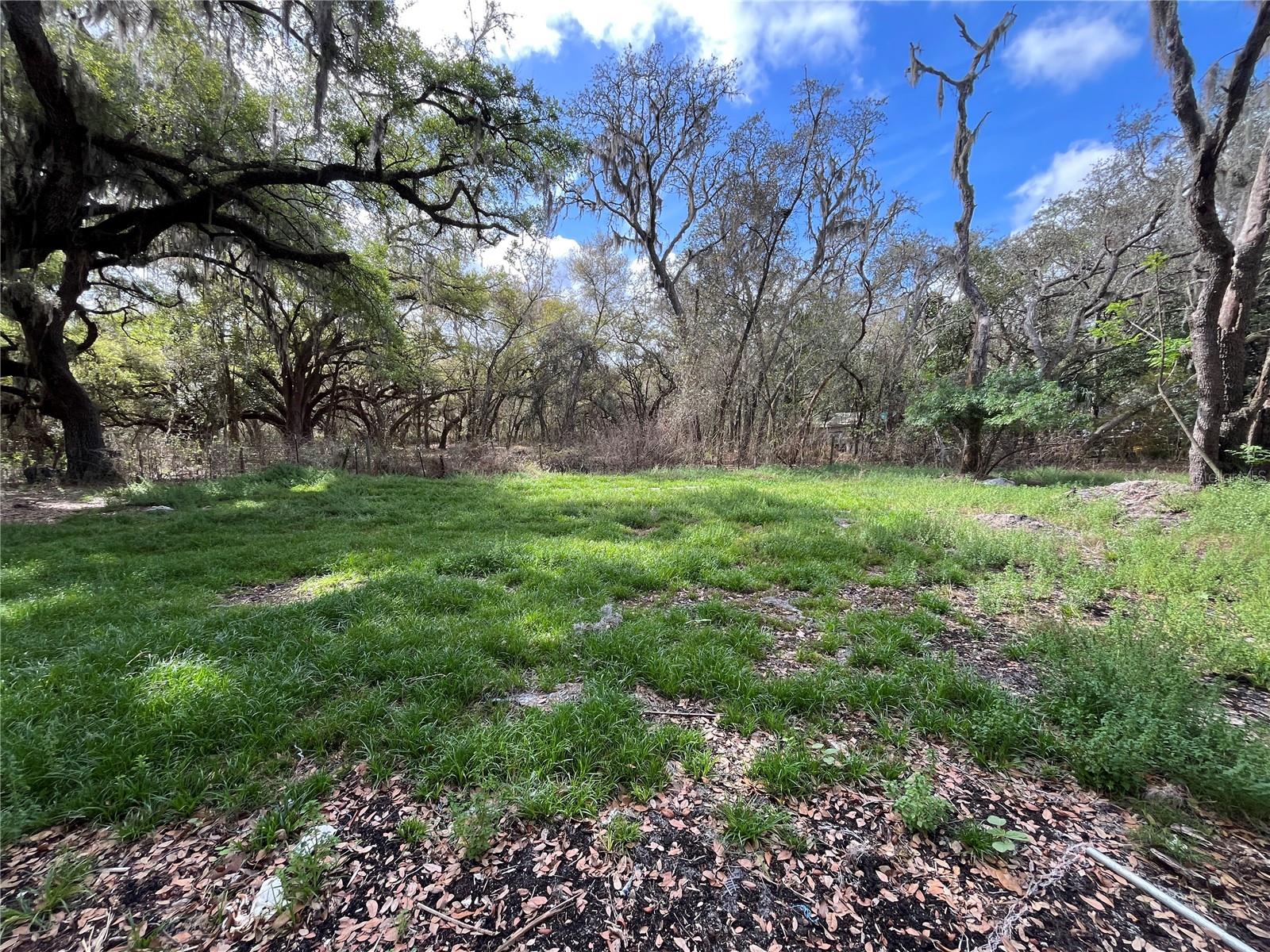 Image 4 of 22 For 2540 Tiger Creek Trail