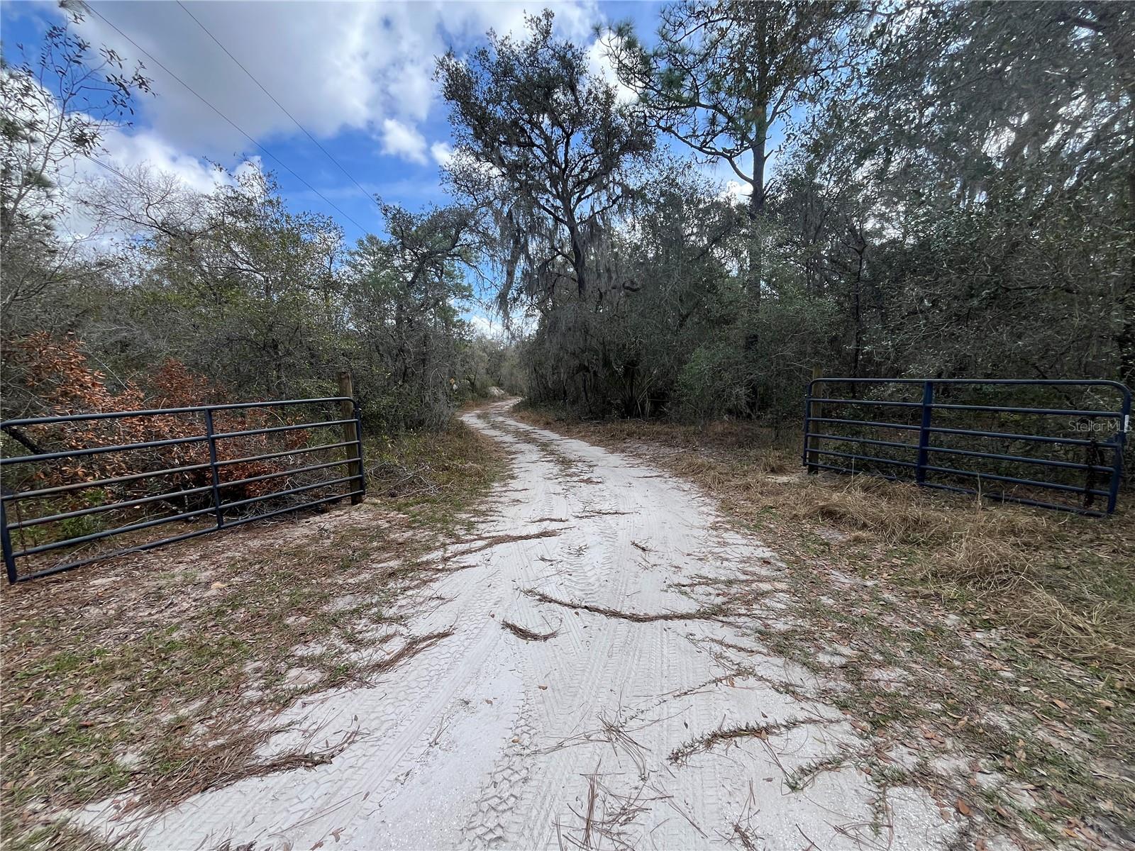 Image 5 of 22 For 2540 Tiger Creek Trail