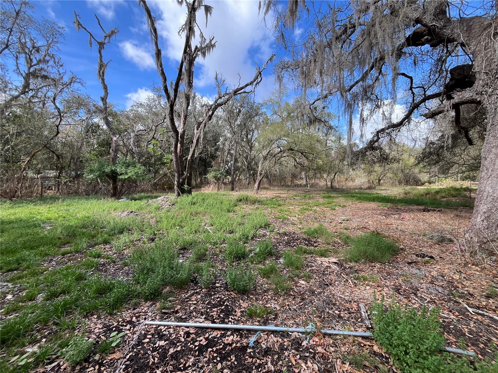 Image 9 of 22 For 2540 Tiger Creek Trail