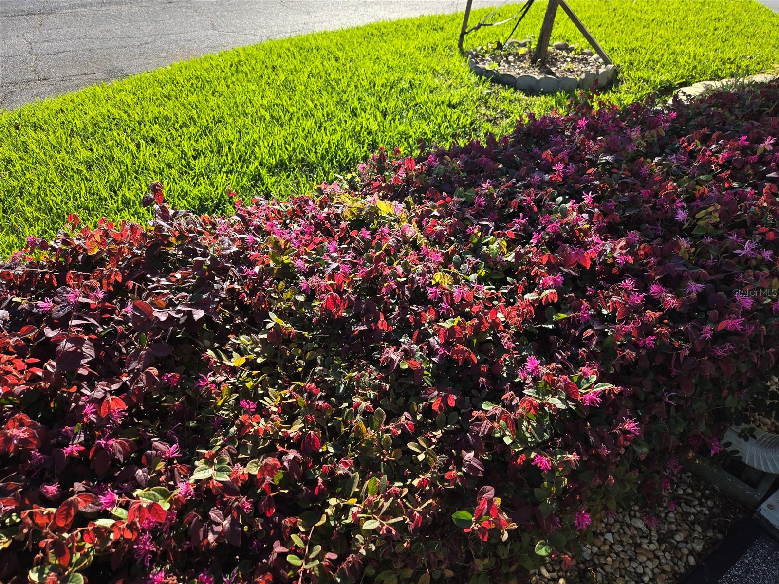 Image 49 of 96 For 198 Dartmouth Drive