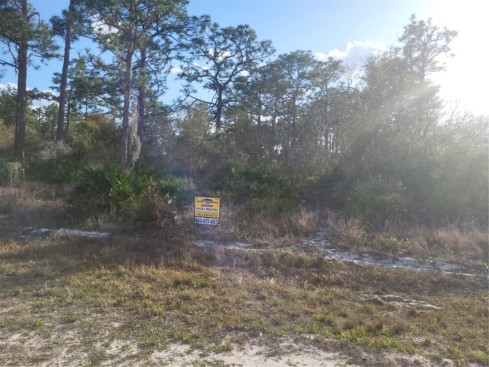 Image 2 of 4 For 0 Orlando Drive 10