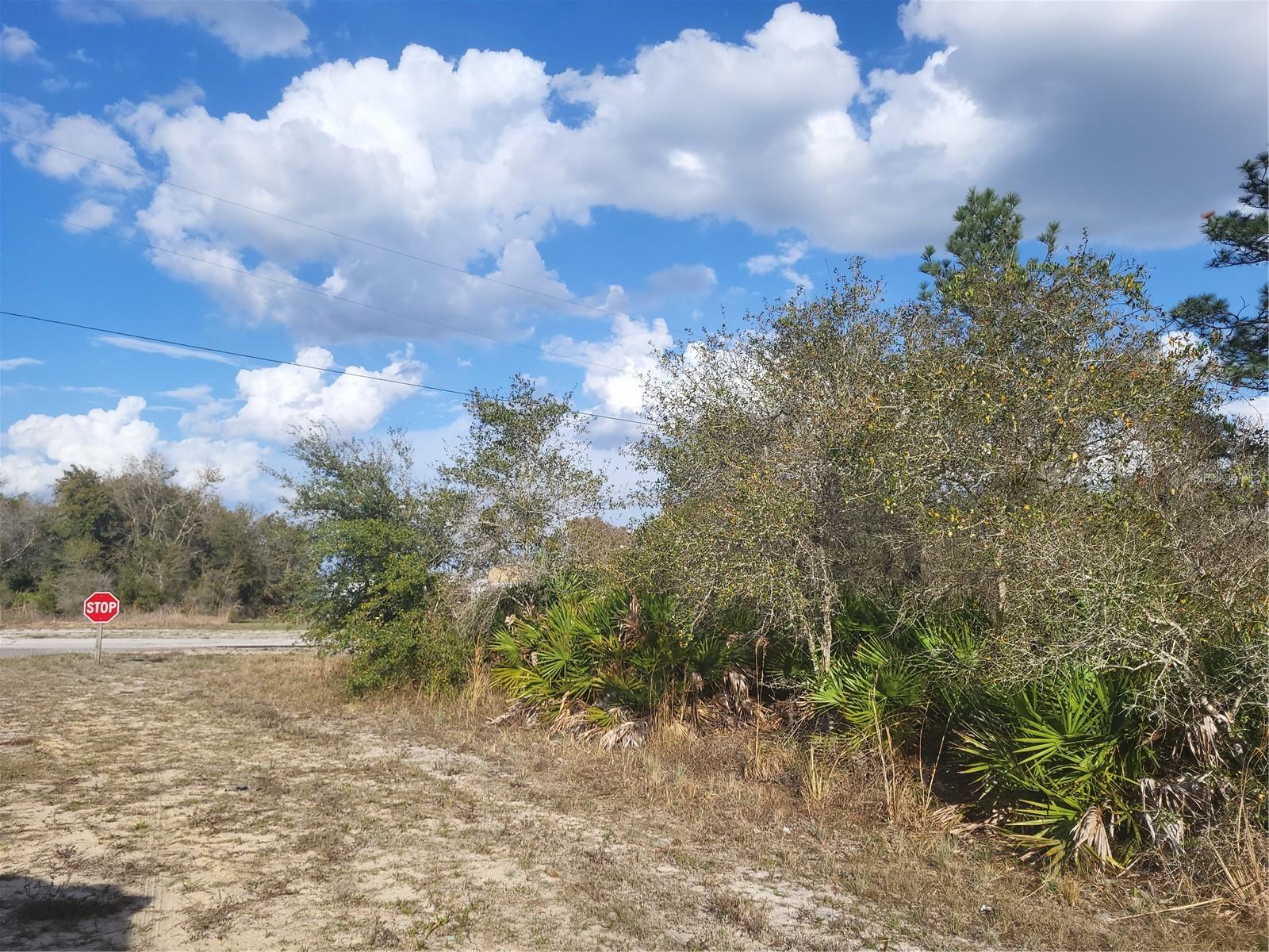 Image 4 of 4 For 0 Orlando Drive 10