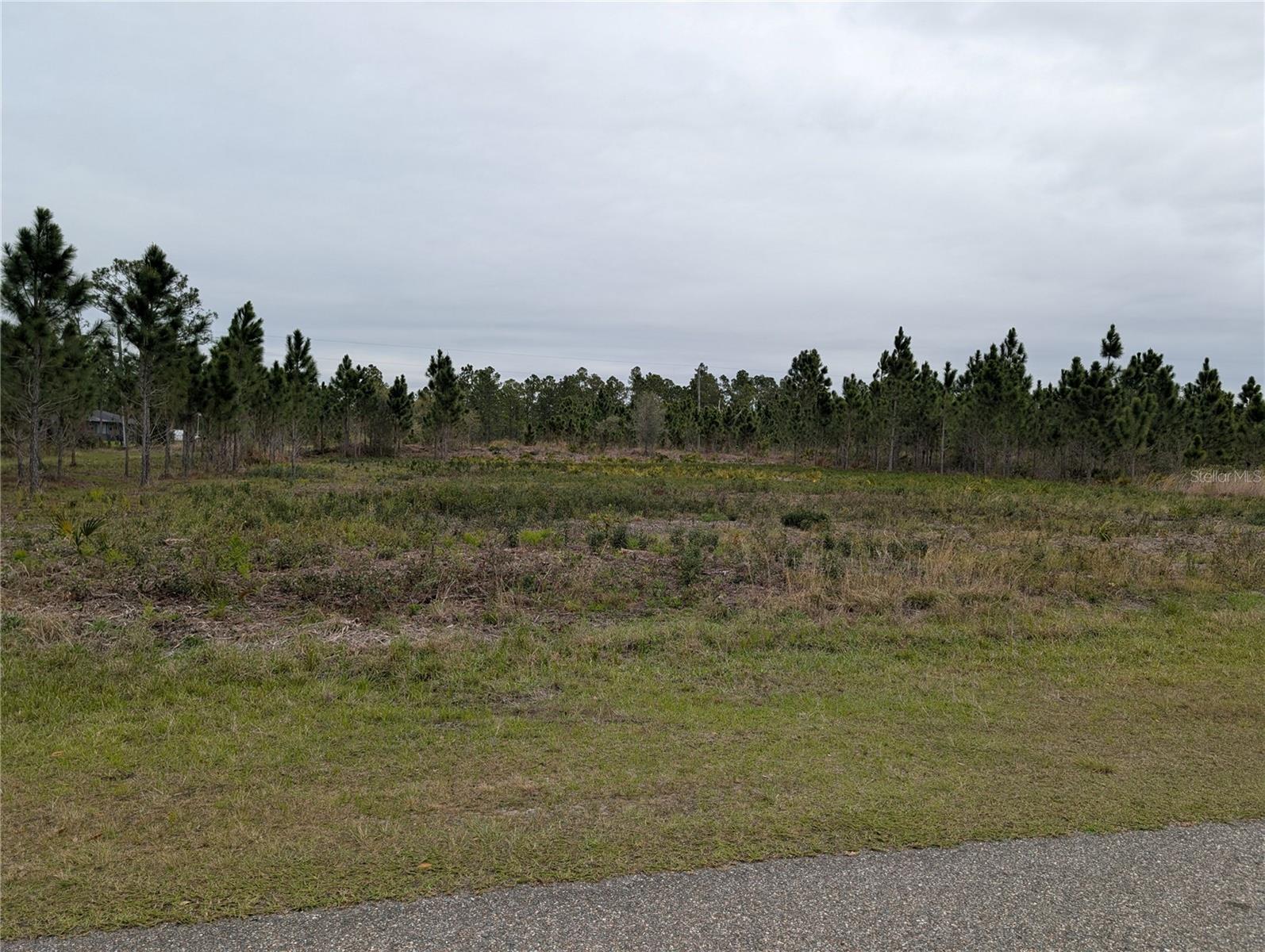 Details for 224 Poinciana Drive, INDIAN LAKE ESTATES, FL 33855