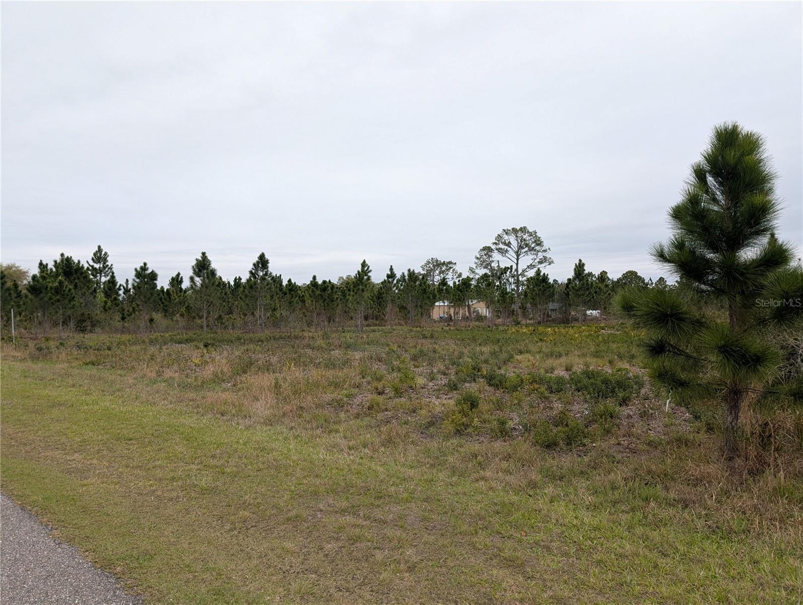 Image 2 of 49 For 224 Poinciana Drive