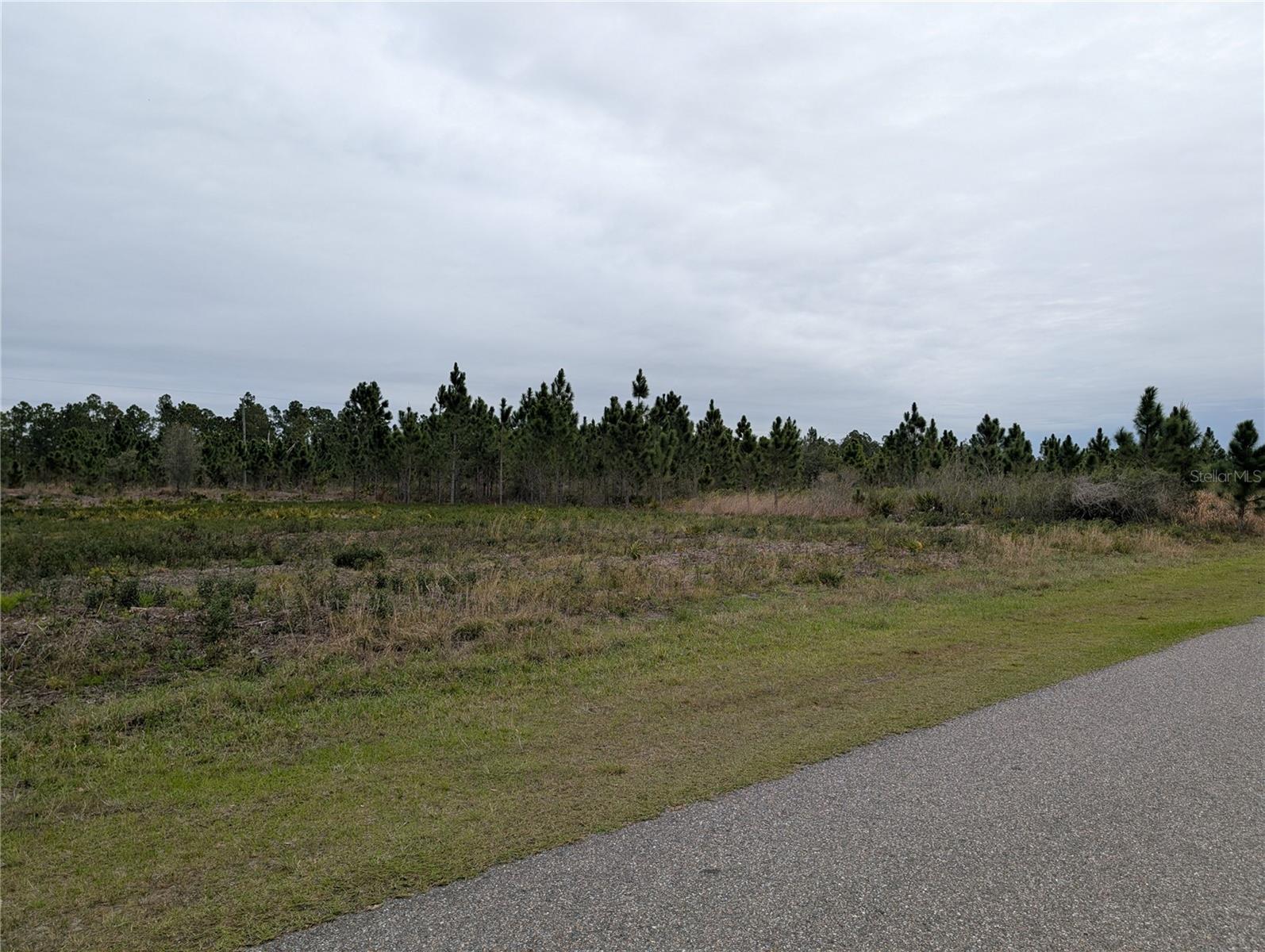 Image 29 of 49 For 224 Poinciana Drive