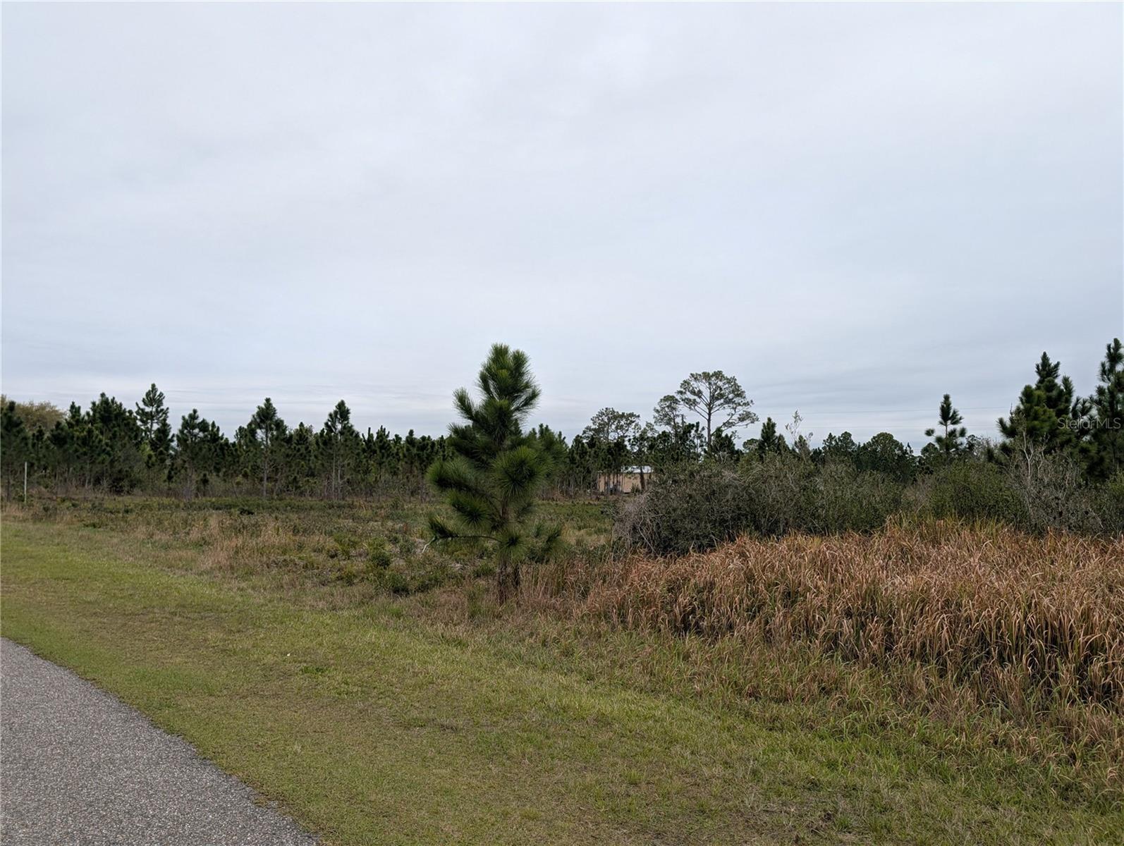 Image 3 of 49 For 224 Poinciana Drive