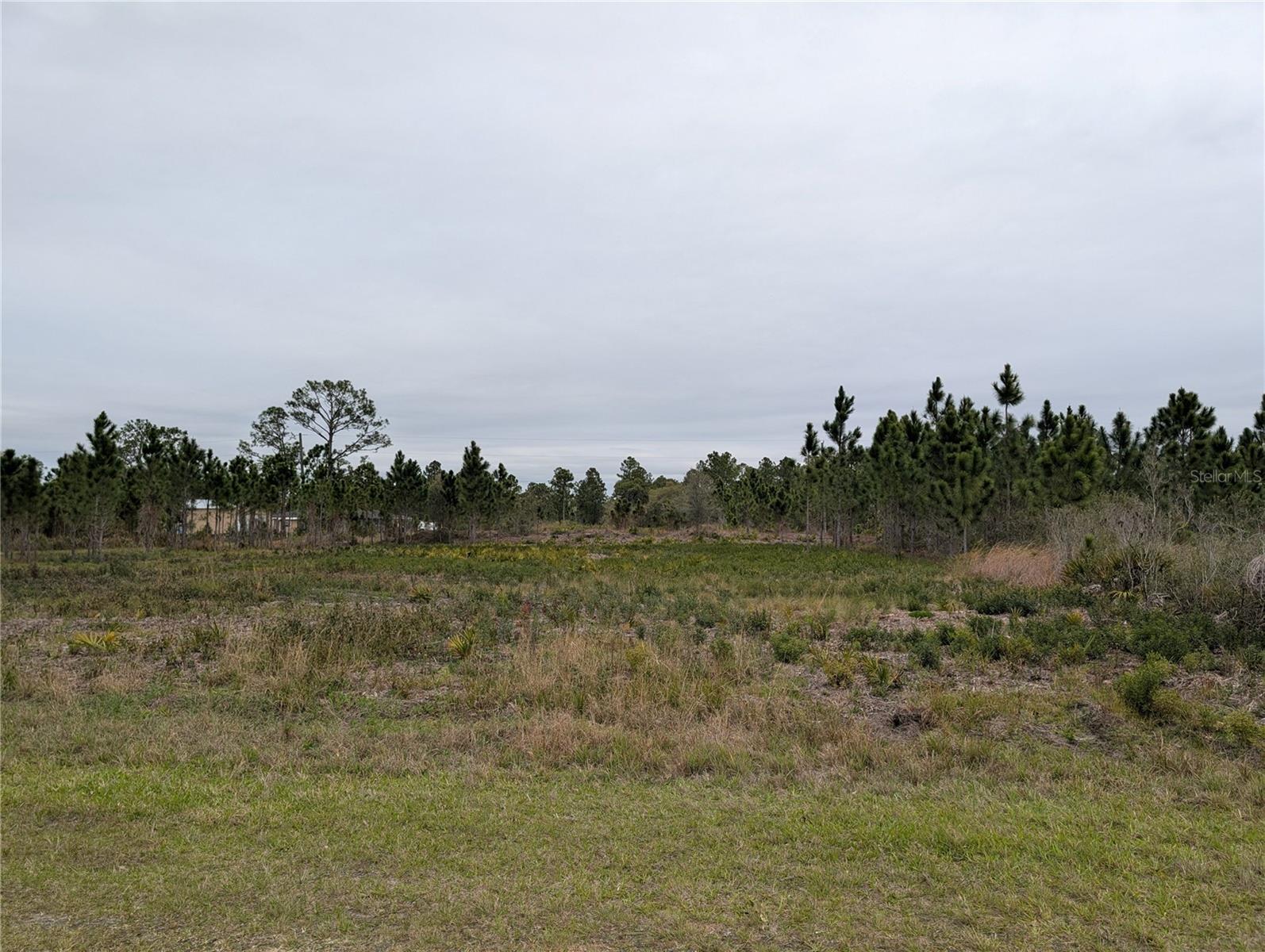 Image 4 of 49 For 224 Poinciana Drive