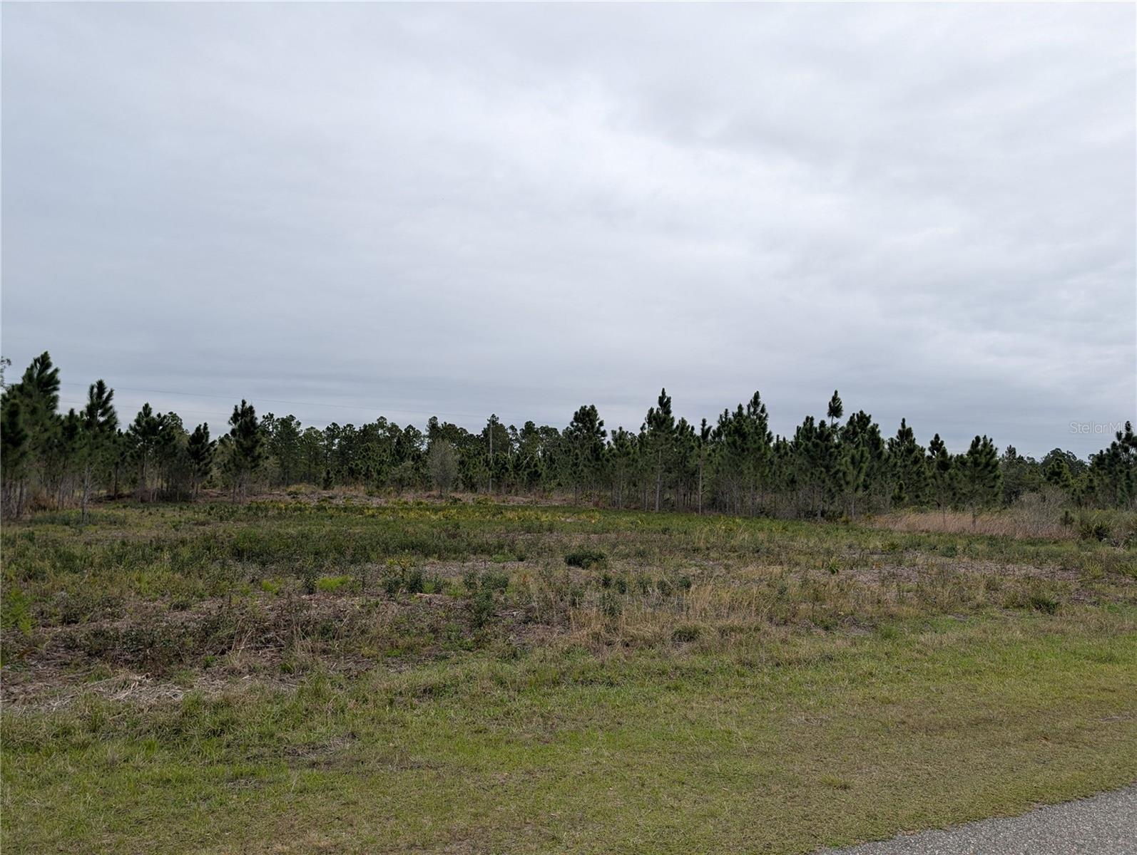 Image 7 of 49 For 224 Poinciana Drive