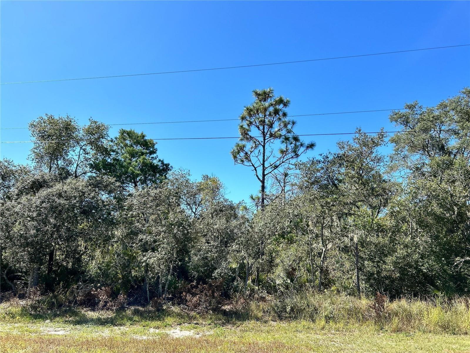 Image 14 of 19 For Woodstork Way