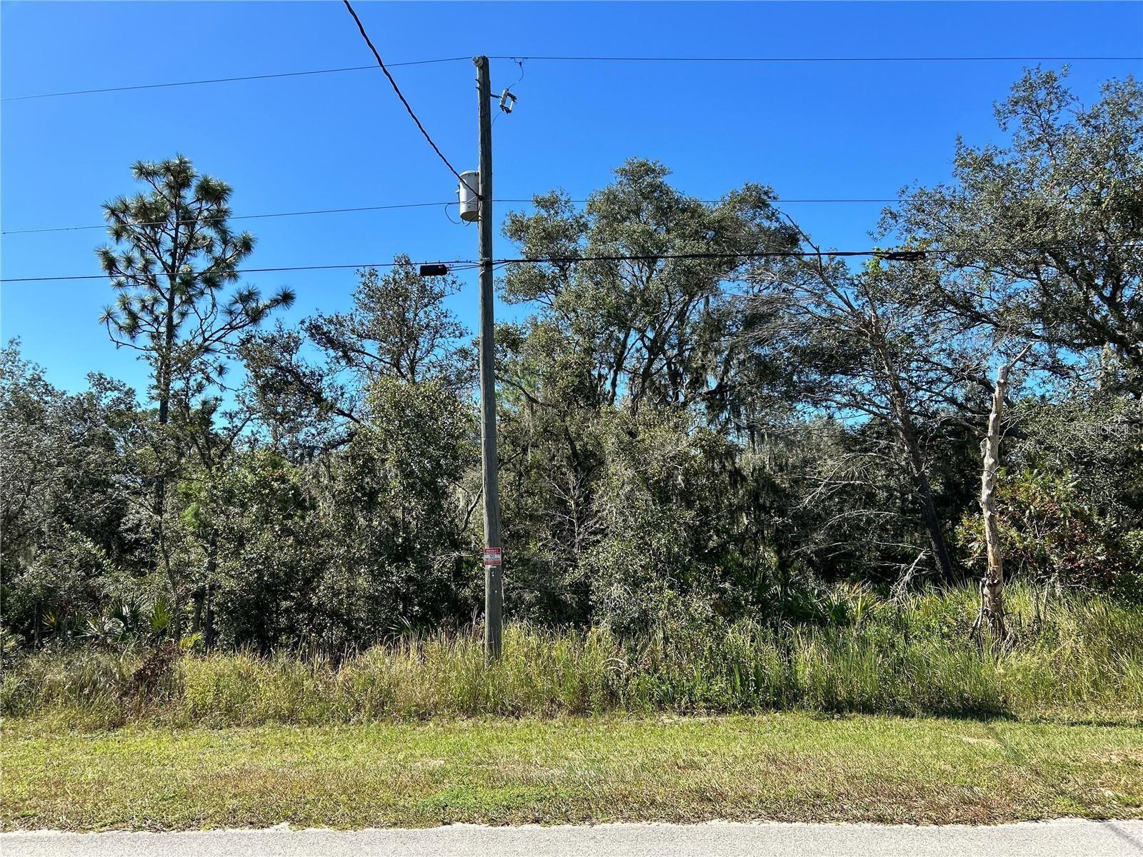 Image 19 of 19 For Woodstork Way