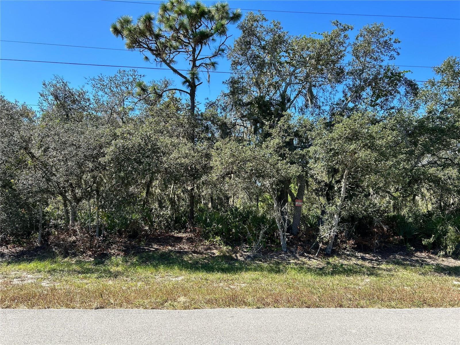 Details for Woodstork Way, FROSTPROOF, FL 33843