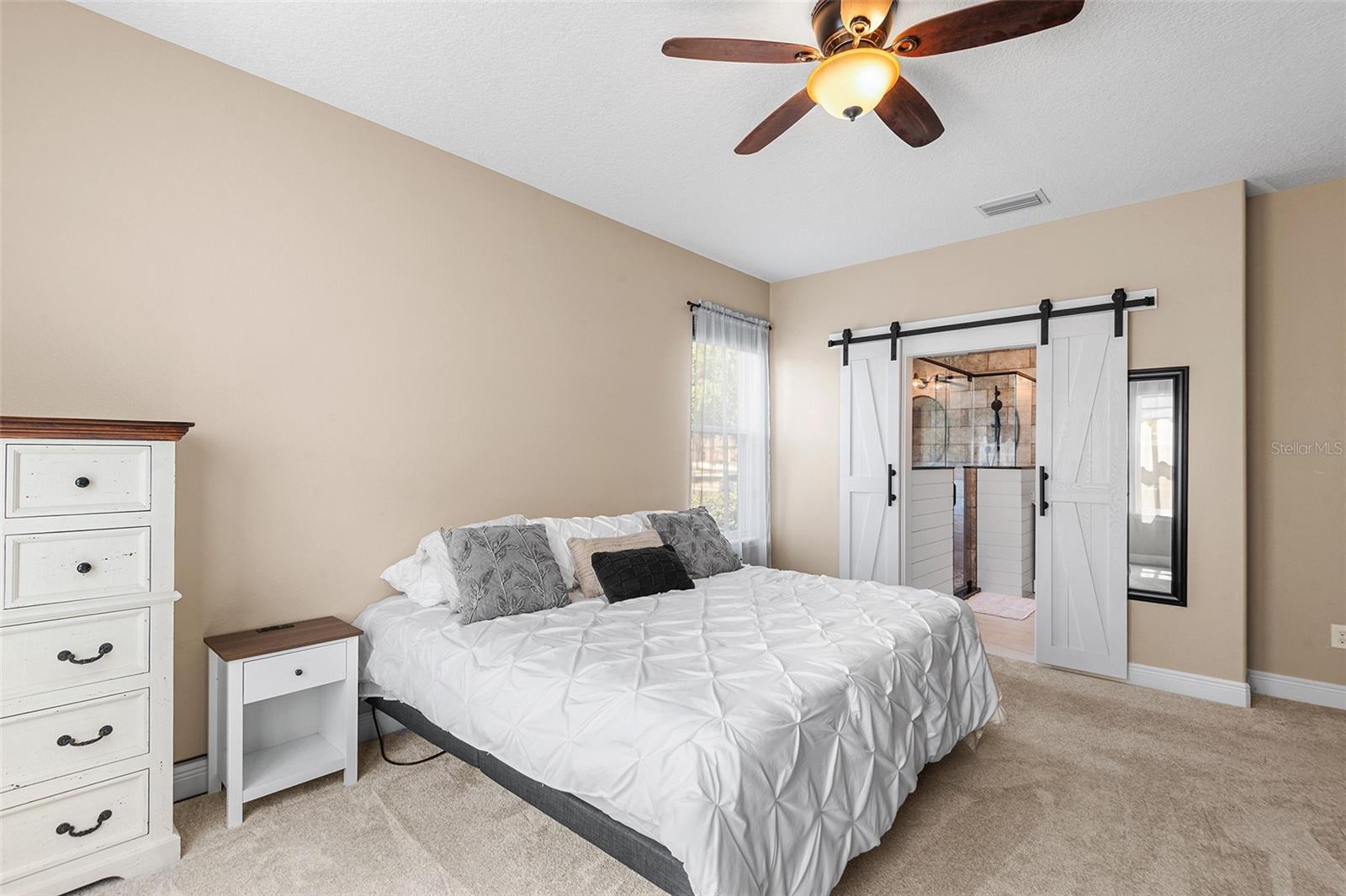 Image 12 of 26 For 189 Magneta Loop