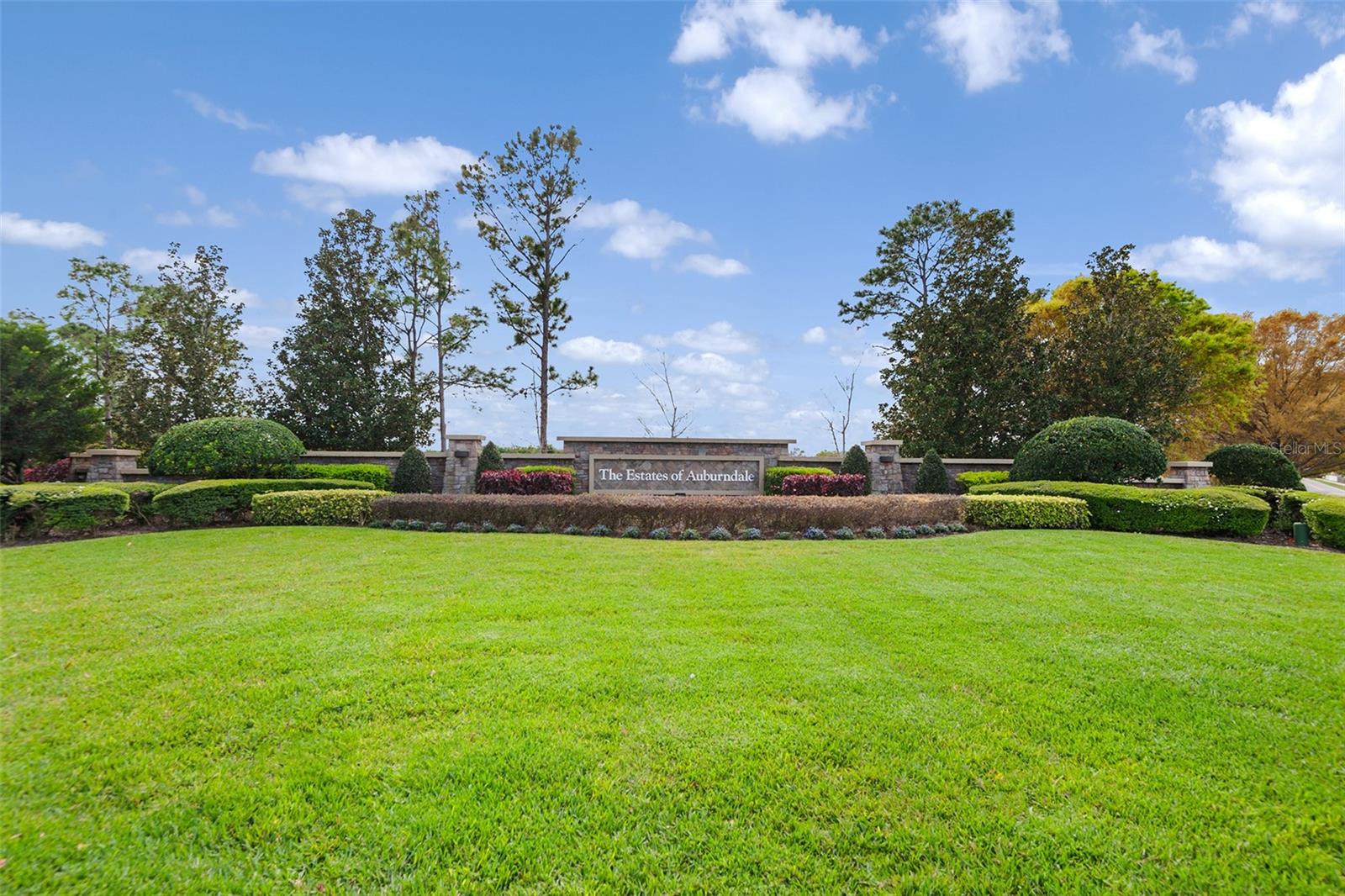 Image 26 of 26 For 189 Magneta Loop