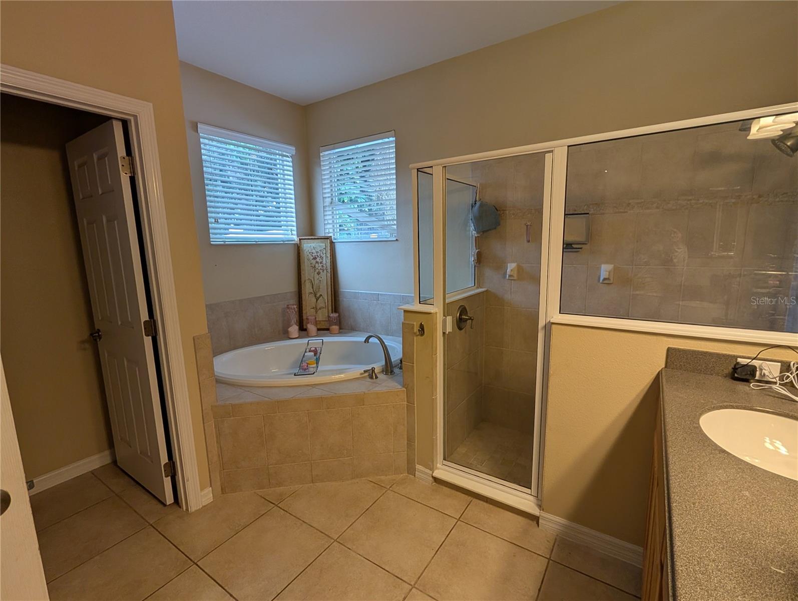 Image 24 of 55 For 725 Auburn Preserve Boulevard