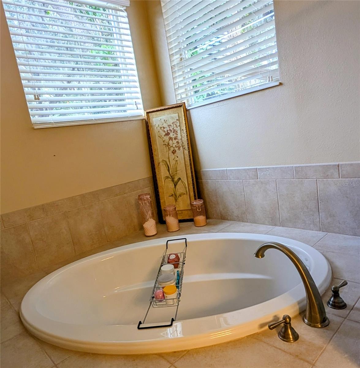 Image 25 of 55 For 725 Auburn Preserve Boulevard