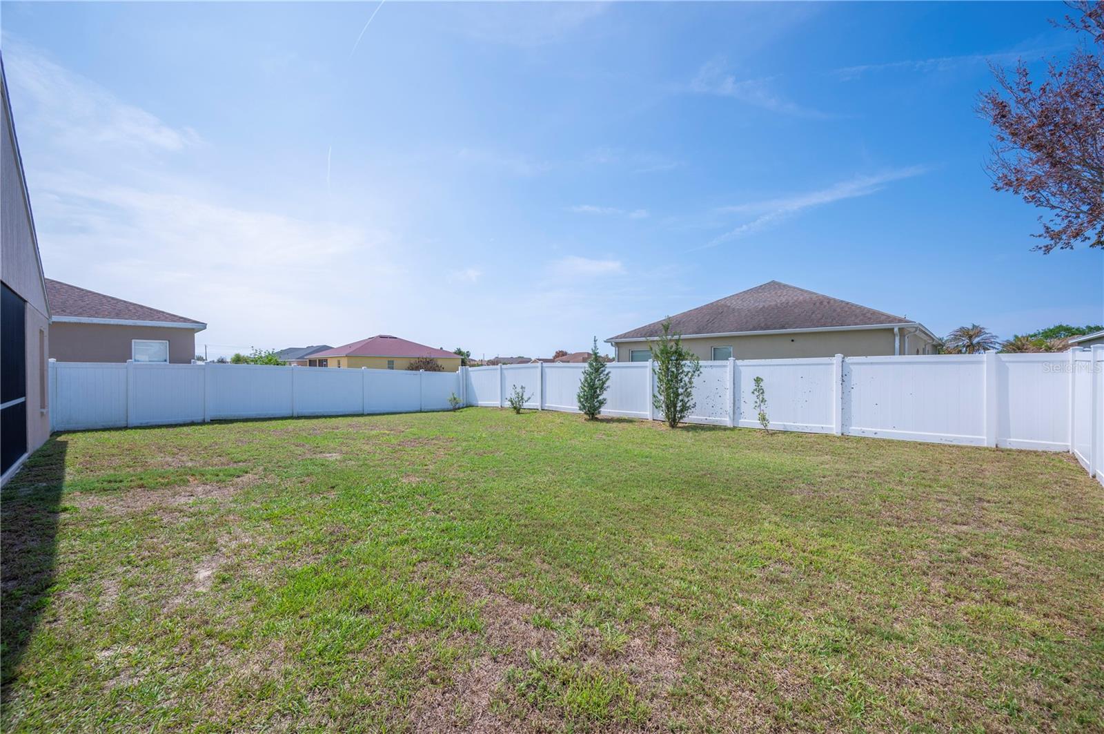 Image 32 of 44 For 4741 Mandolin Loop