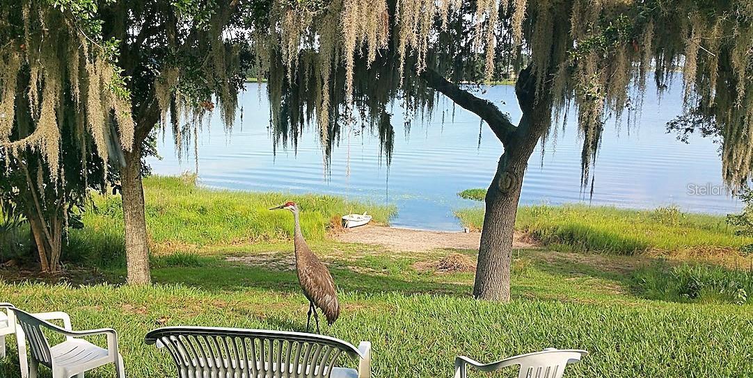 Image 8 of 10 For 1015 Cody Cove Road