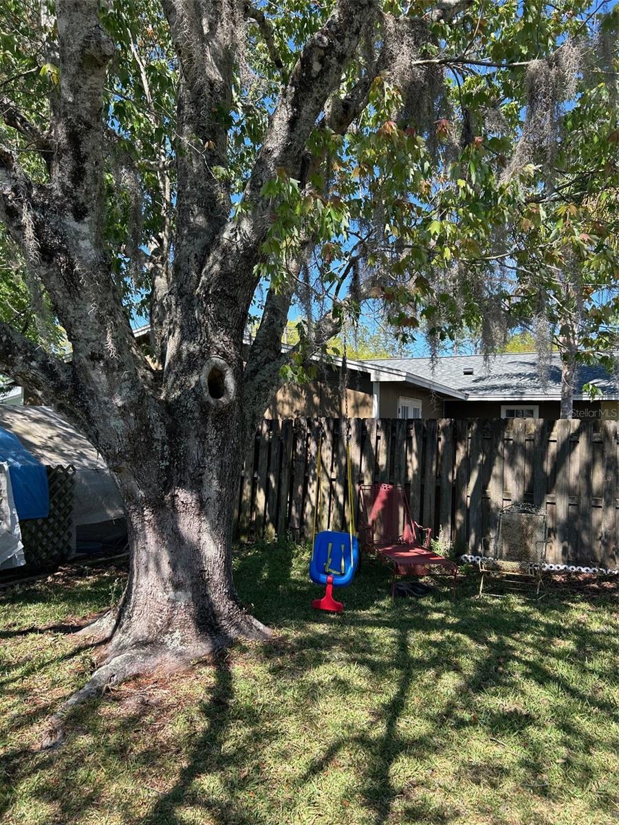 Image 26 of 30 For 708 Chapel Street