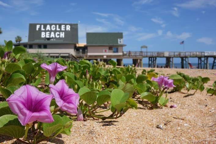 Image 30 of 30 For 708 Chapel Street