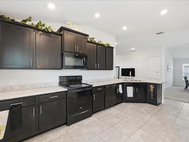 Image 17 of 46 For 1646 Tressel Court