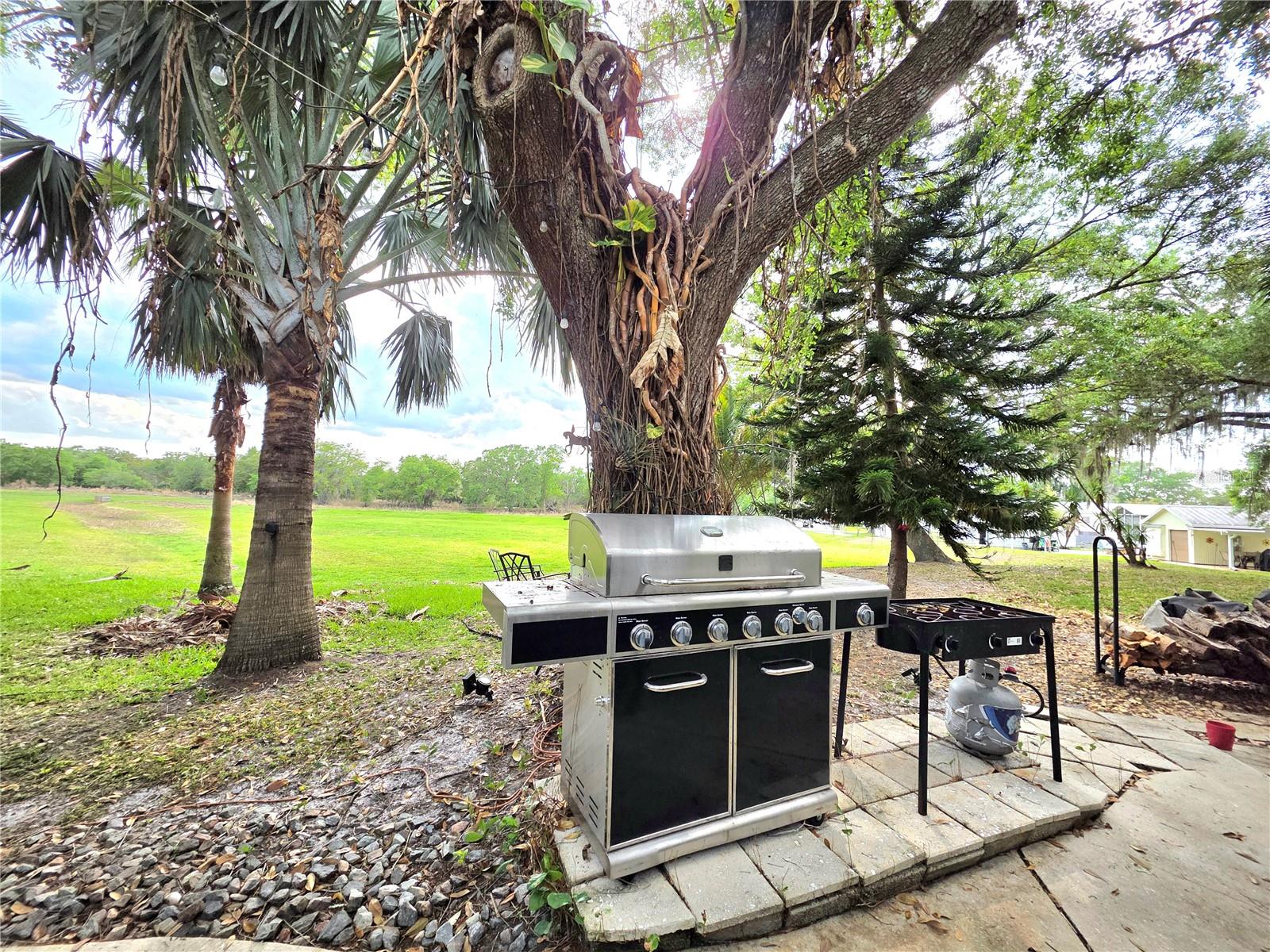 Image 10 of 14 For 159 Horseshoe Bend