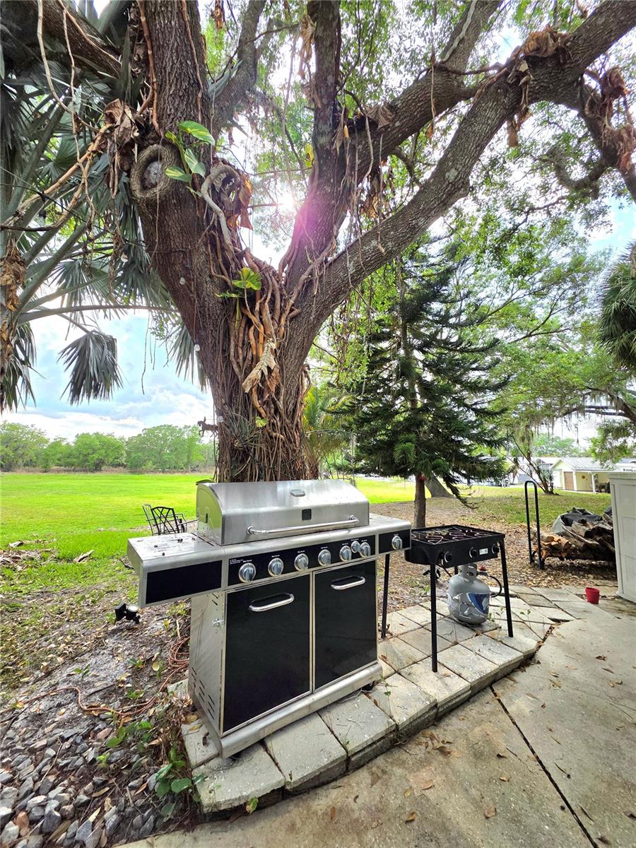 Image 9 of 14 For 159 Horseshoe Bend