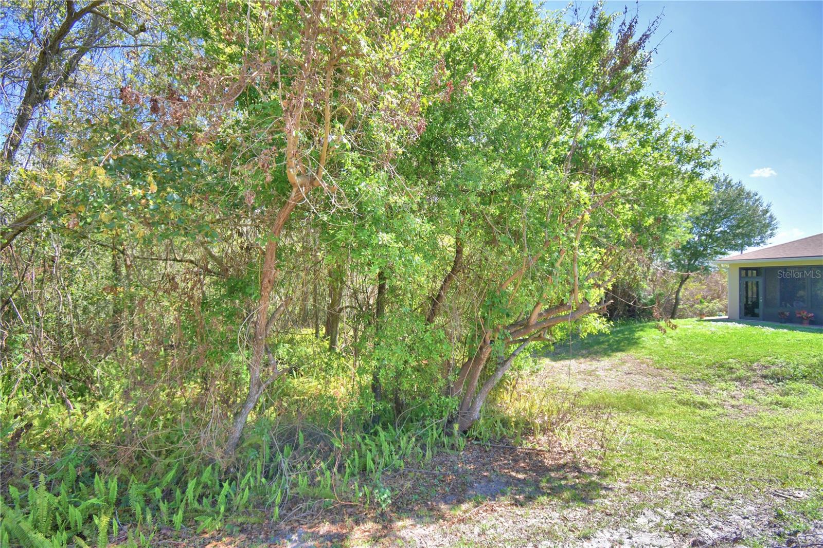 Image 25 of 58 For 1507 Vienna Square Drive