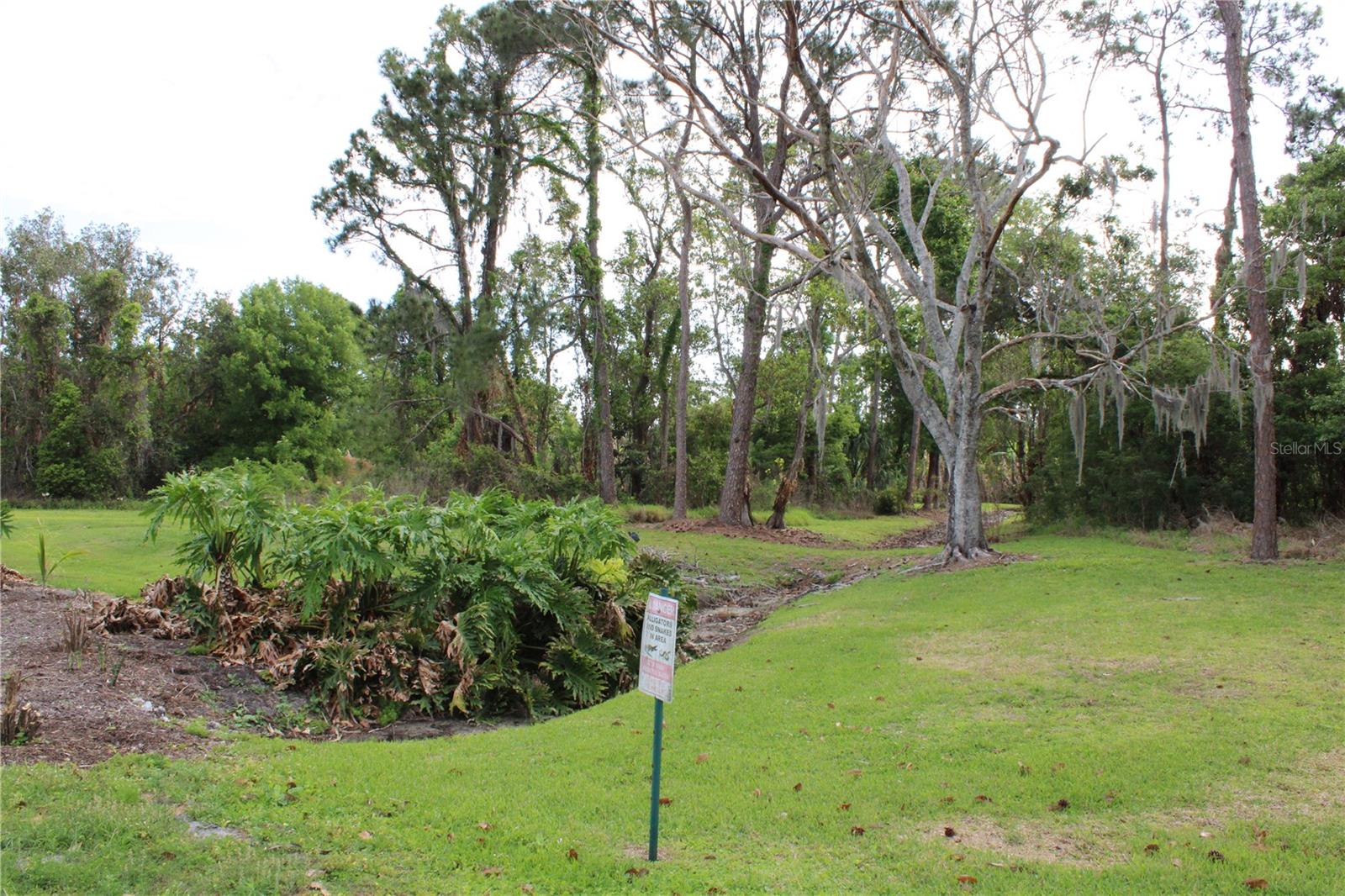 Image 4 of 20 For 0 Chinaberry Drive