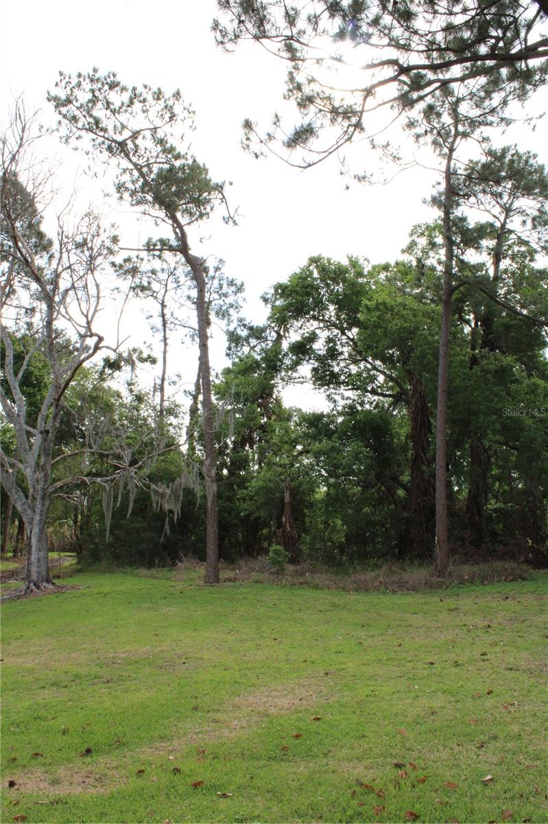 Image 5 of 20 For 0 Chinaberry Drive