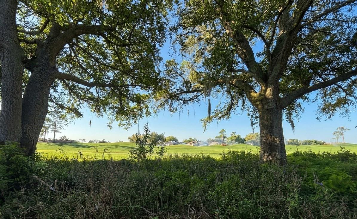 Image 20 of 20 For 2487 St. Augustine Boulevard