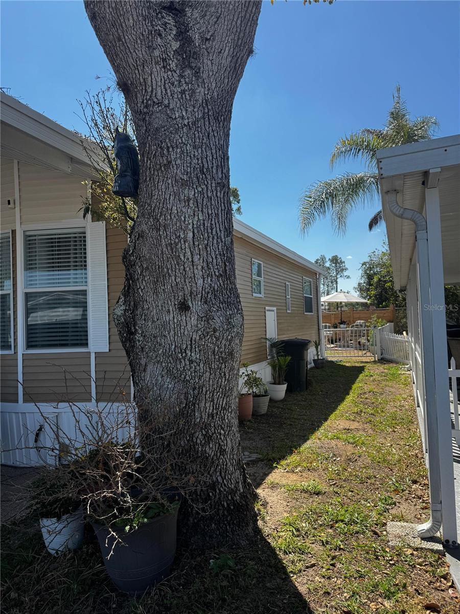 Image 16 of 48 For 123 Pansy Street