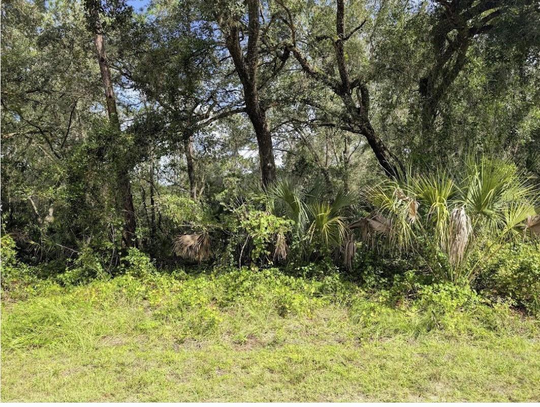 Image 5 of 45 For 914 Poinciana Drive
