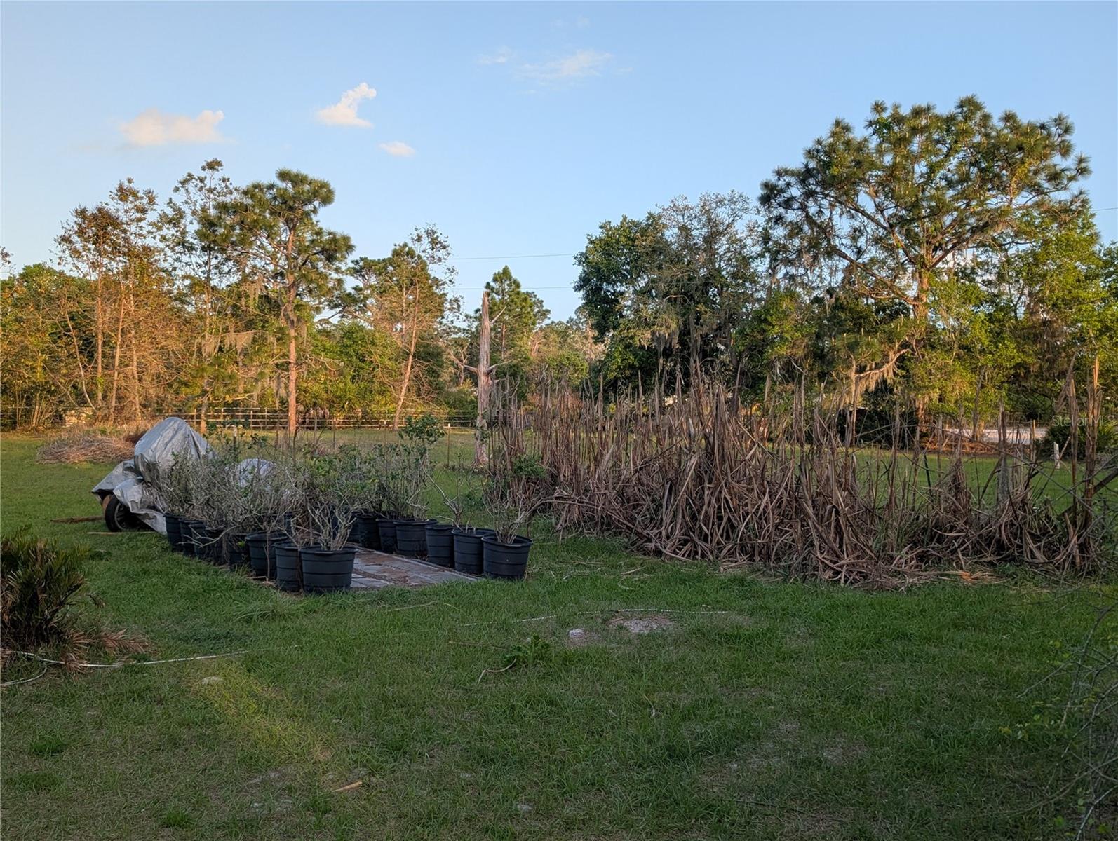 Image 23 of 27 For 760 Mcclellan Road