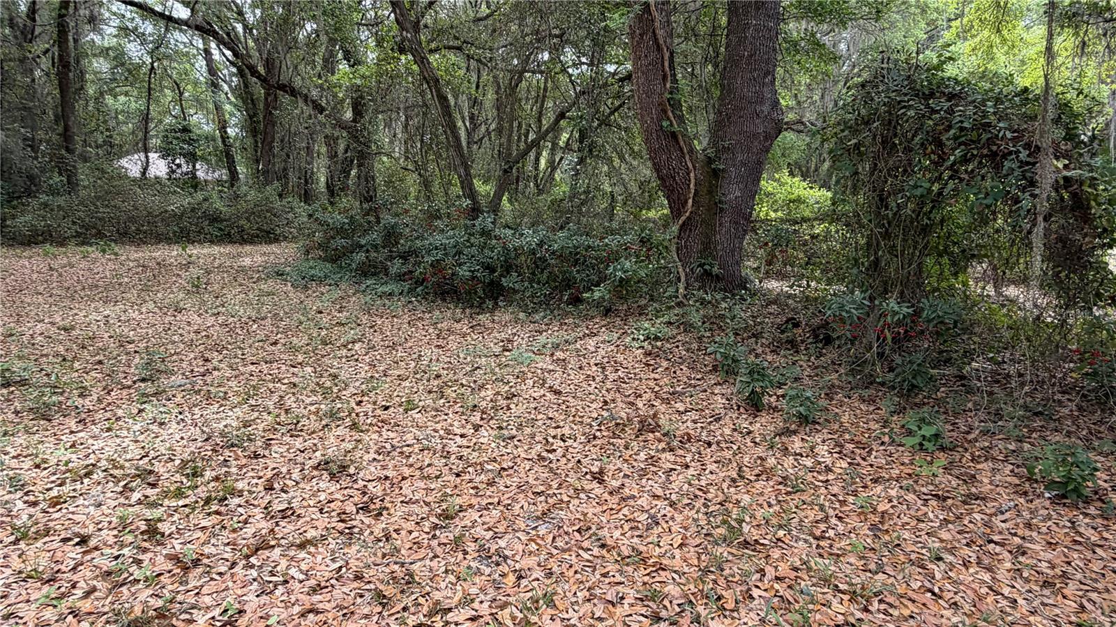 Image 11 of 80 For 7526 221st Street