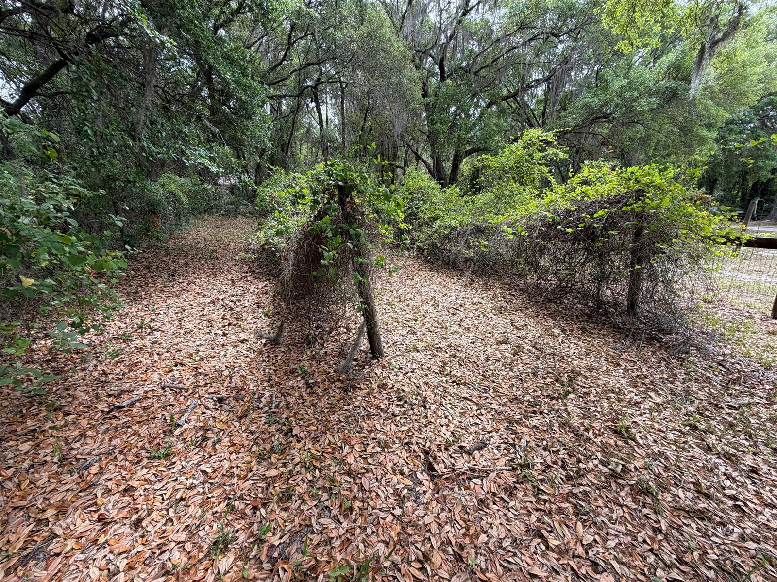 Image 13 of 80 For 7526 221st Street