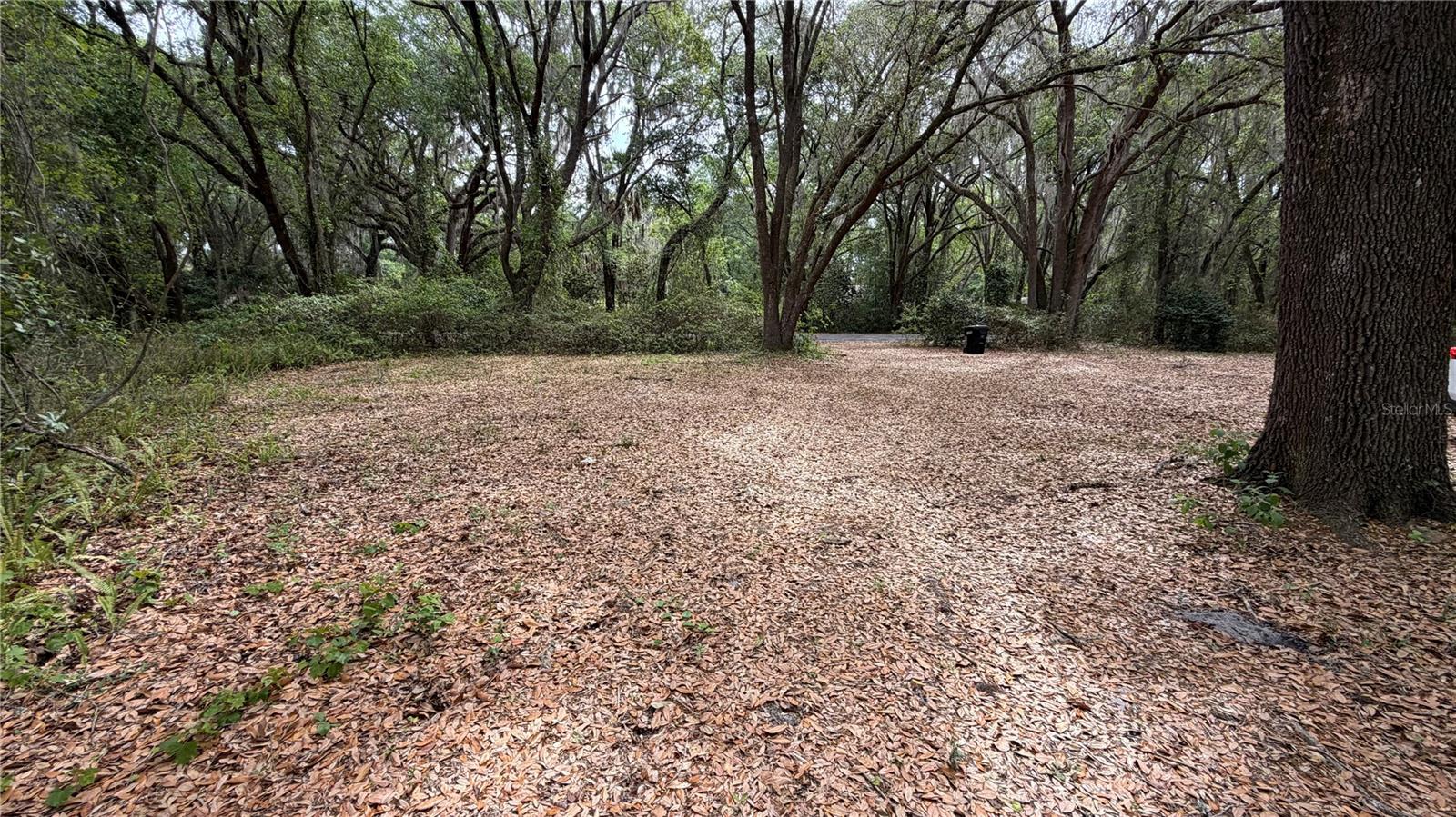 Image 8 of 80 For 7526 221st Street