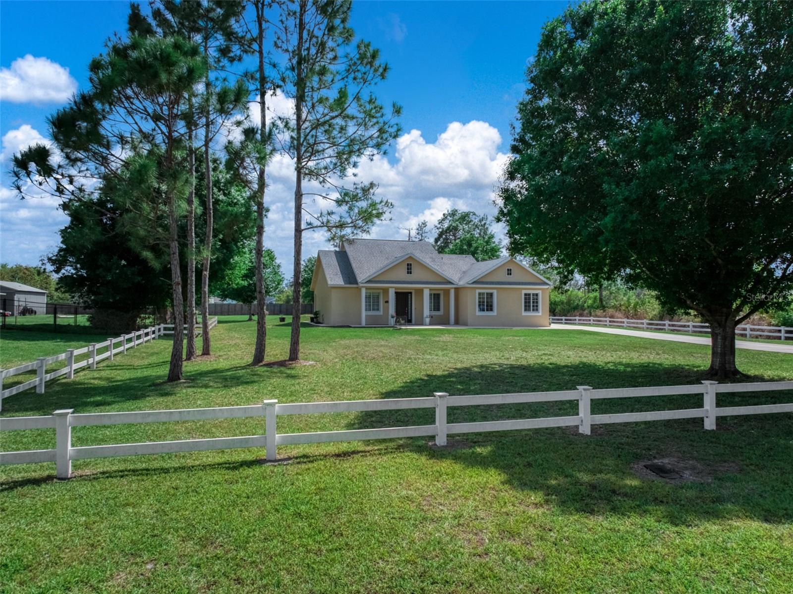 Image 4 of 60 For 2009 Flower Terrace