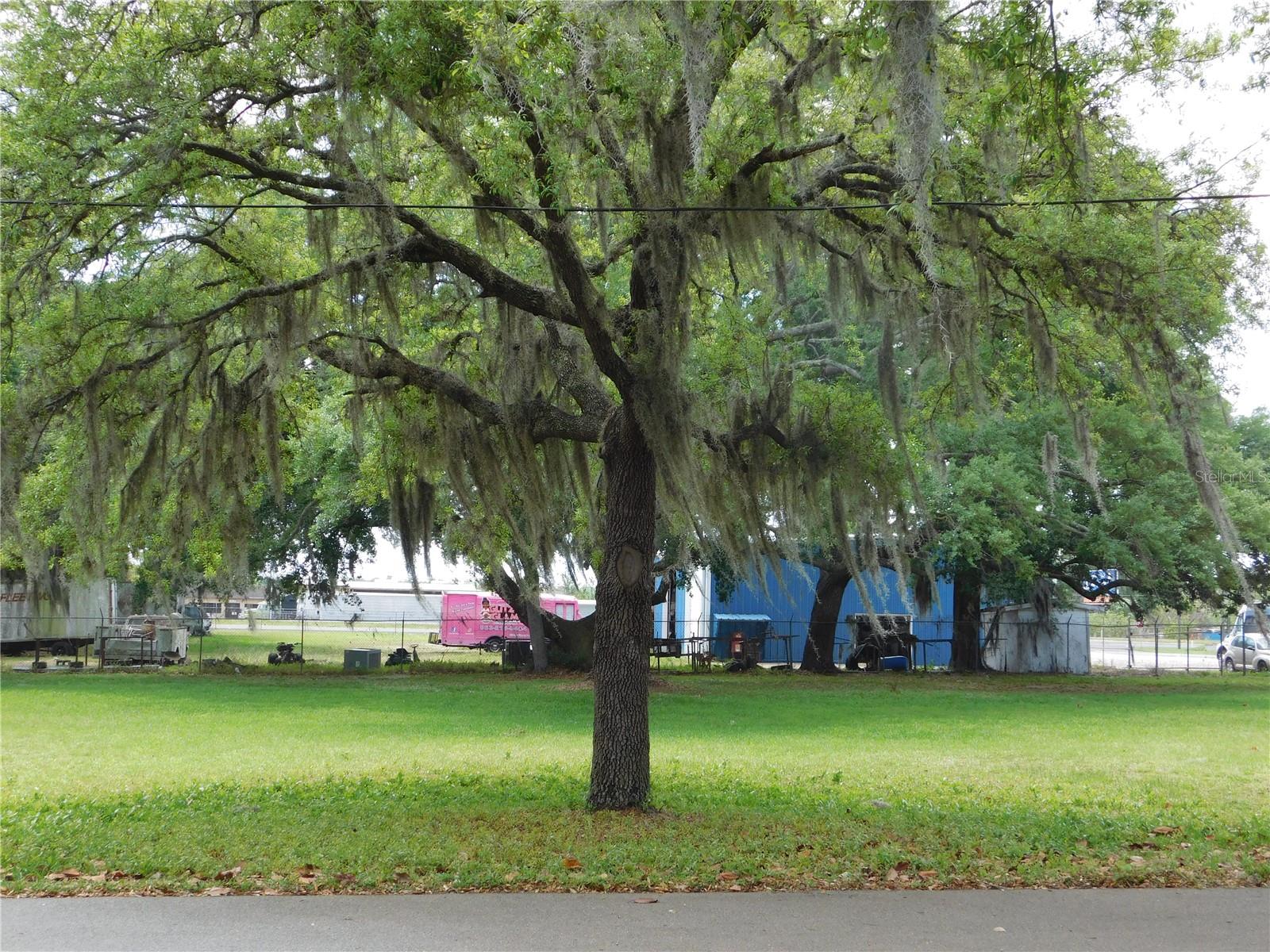 Image 3 of 8 For 00 Moss Avenue