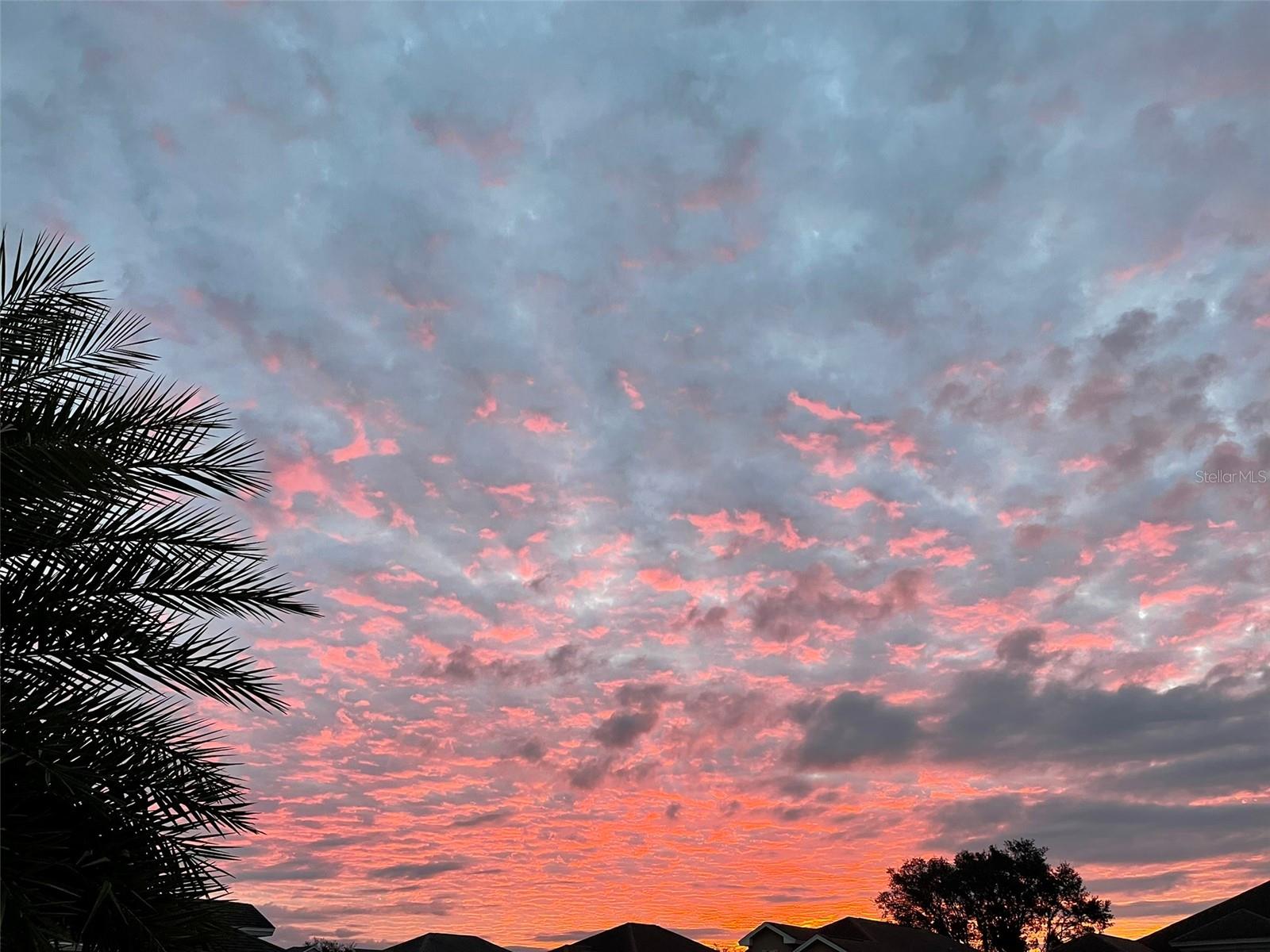 Image 86 of 92 For 16114 Morning Dew Way