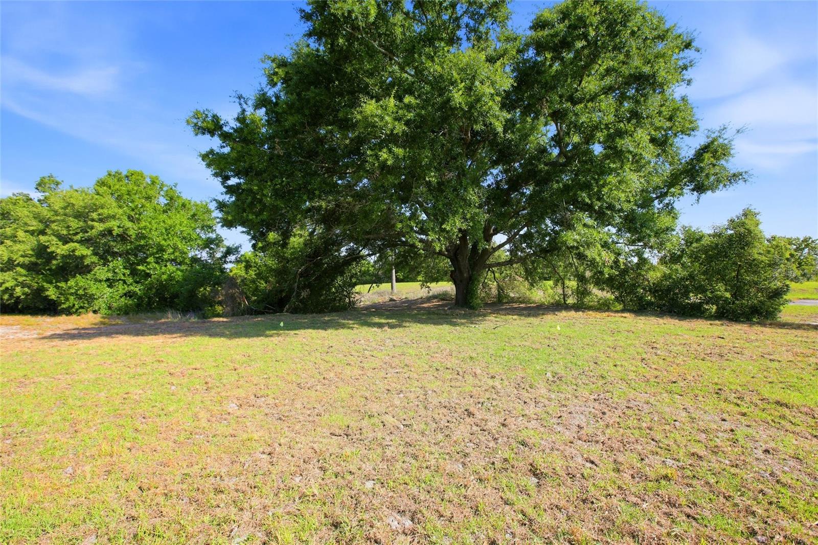 Image 31 of 32 For 1313 Blue Heron Drive