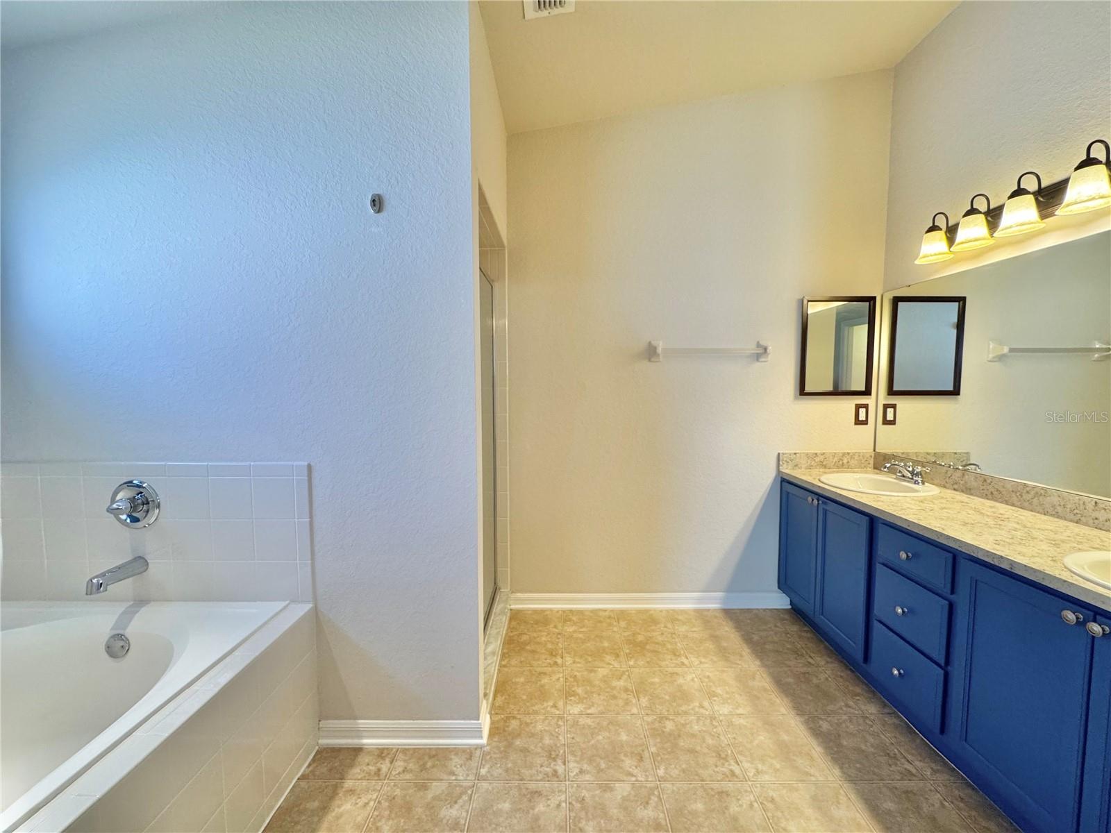 Image 19 of 39 For 4741 Mandolin Loop