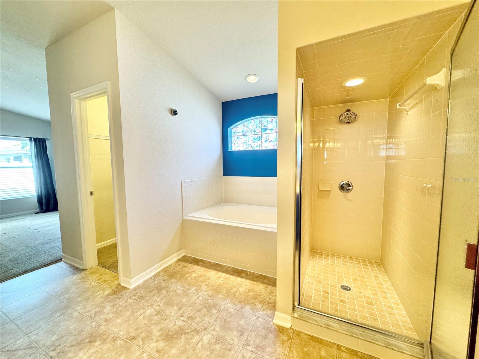 Image 21 of 39 For 4741 Mandolin Loop