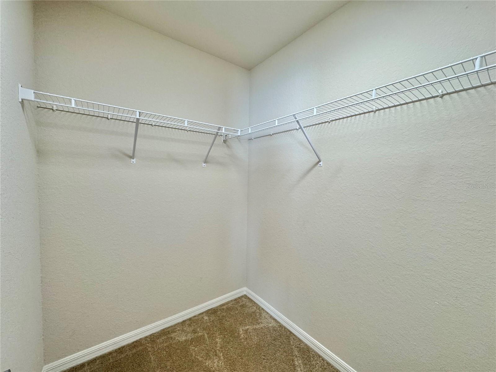 Image 22 of 39 For 4741 Mandolin Loop