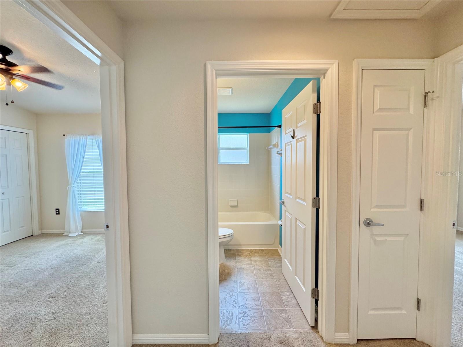 Image 24 of 39 For 4741 Mandolin Loop